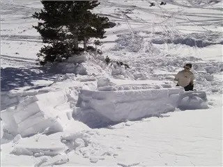 small_001226 colorado avalancheIMG_7100.webp